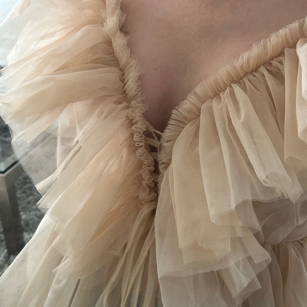 Simple Tan Ruffled Flutter Sleeve Blouse - Picture 4 of 5
